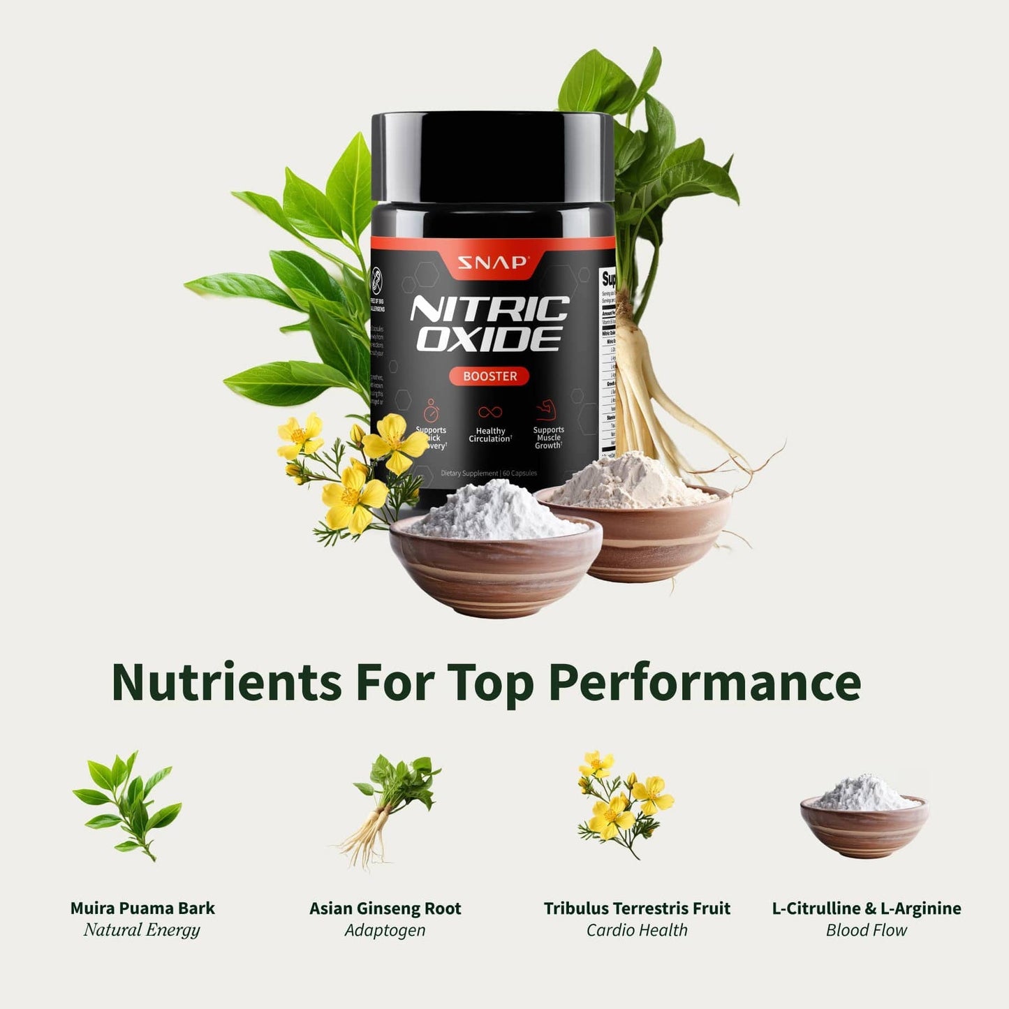 Ultimate NO2 + Testo Bundle